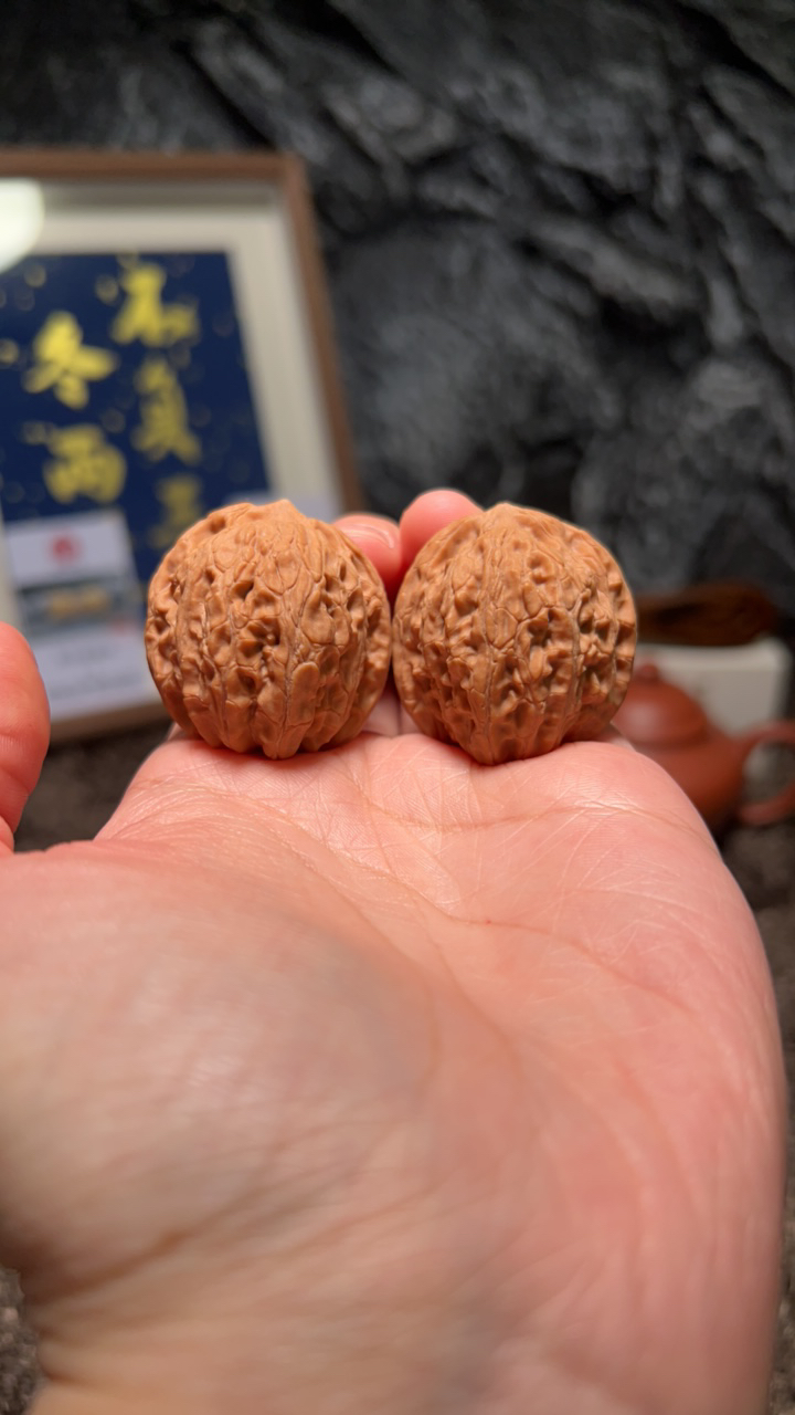 文玩核桃 原树龙胆元宝3727号33尺寸