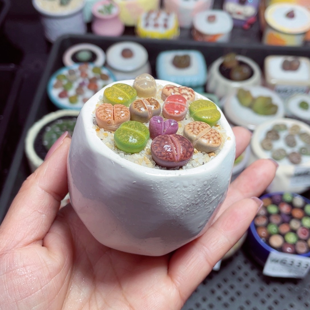 w6339 -零下地区拍保温箱-15支持寄养