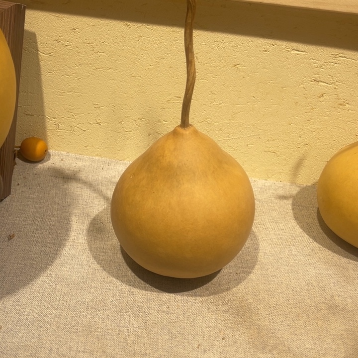 山***鱼仿木不包邮不保龙头