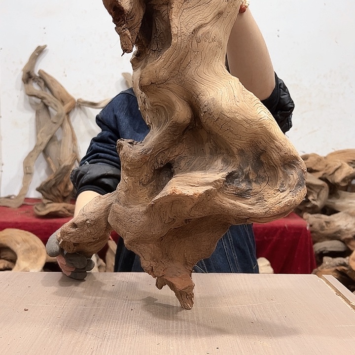 柏木壹*堂我们都是好孩子