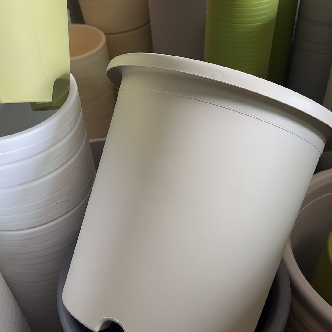 树脂四季8号无托5个灰白微瑕