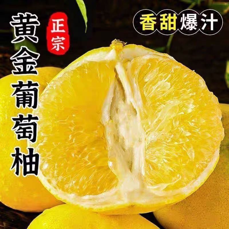 正宗福建葡萄柚新鲜应季水果原产地现摘现发黄金爆汁西柚台湾品种