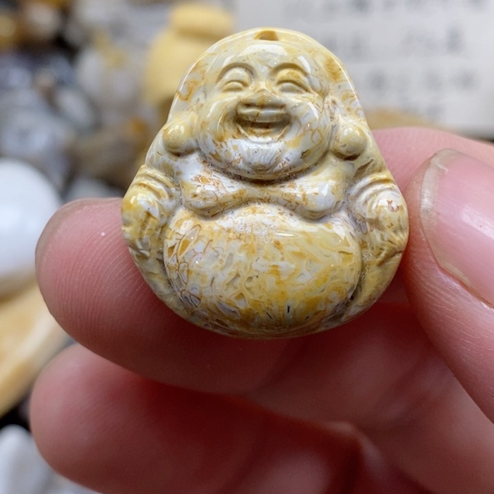 颈饰未镶嵌硅化珊瑚（珊瑚玉）小