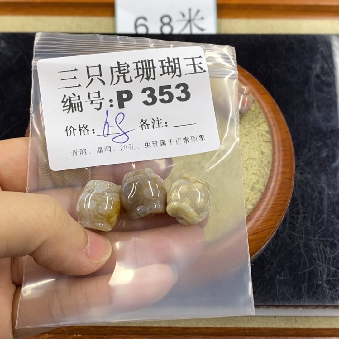 硅化珊瑚（珊瑚玉）1未镶嵌莫*