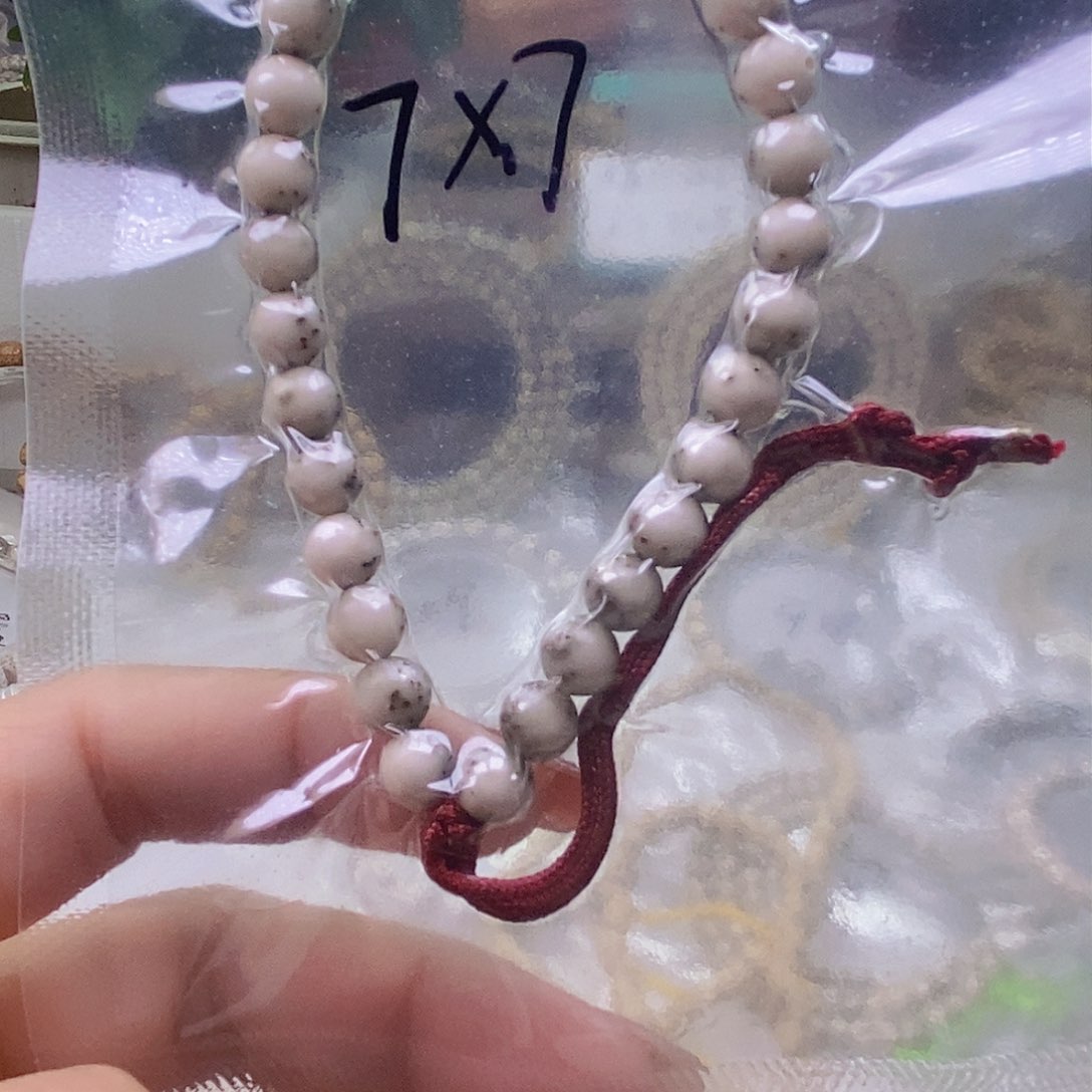 星月菩提手串迷*_糯冰