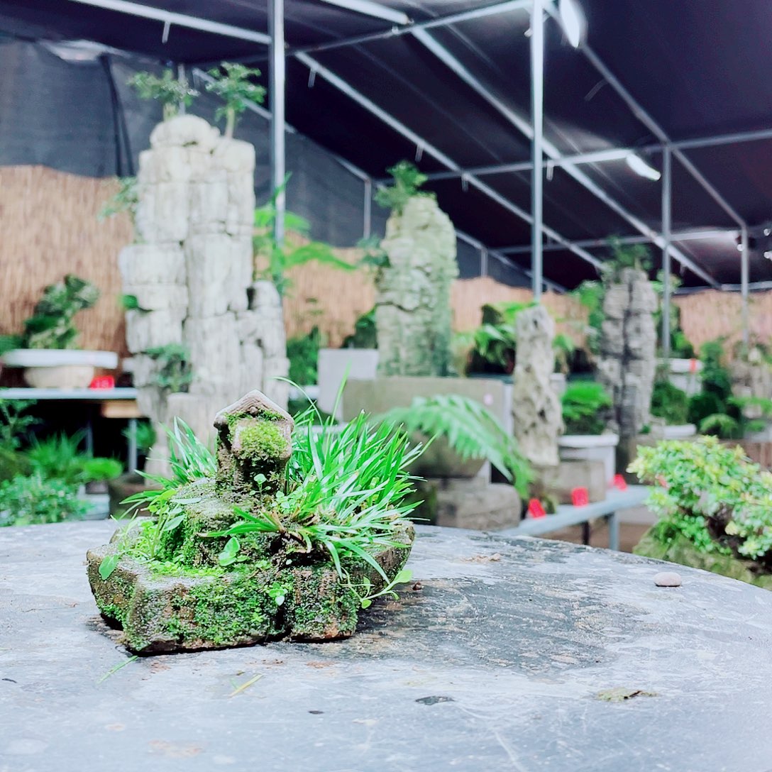 叶***）无花朵我想去找一家小的酒店