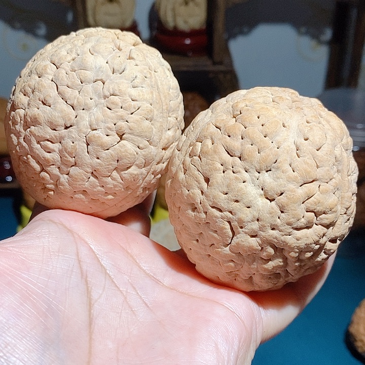 野生三瓣脑纹大金刚6065