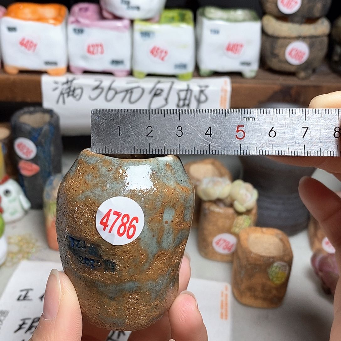 红陶拍5送一个小