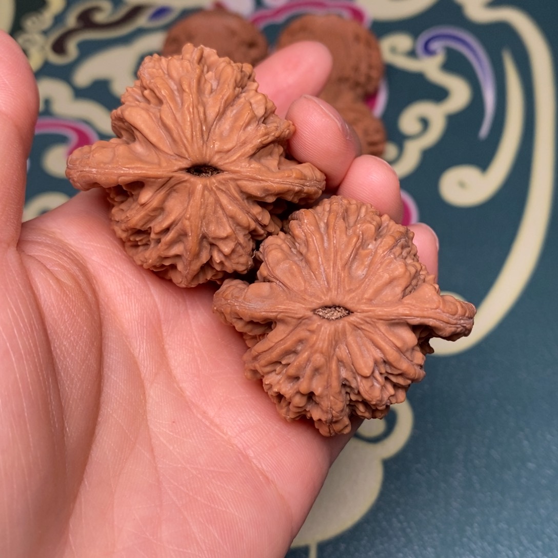 核桃45尺全品麦穗虎头