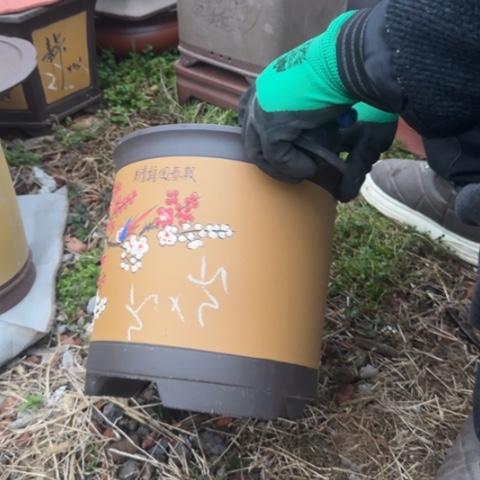 红陶紫砂花盆盆景盆栽