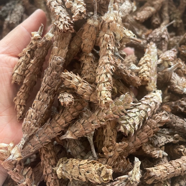 夏枯草夏枯球 可搭配猫爪草也可以泡水煮水煮鸡蛋