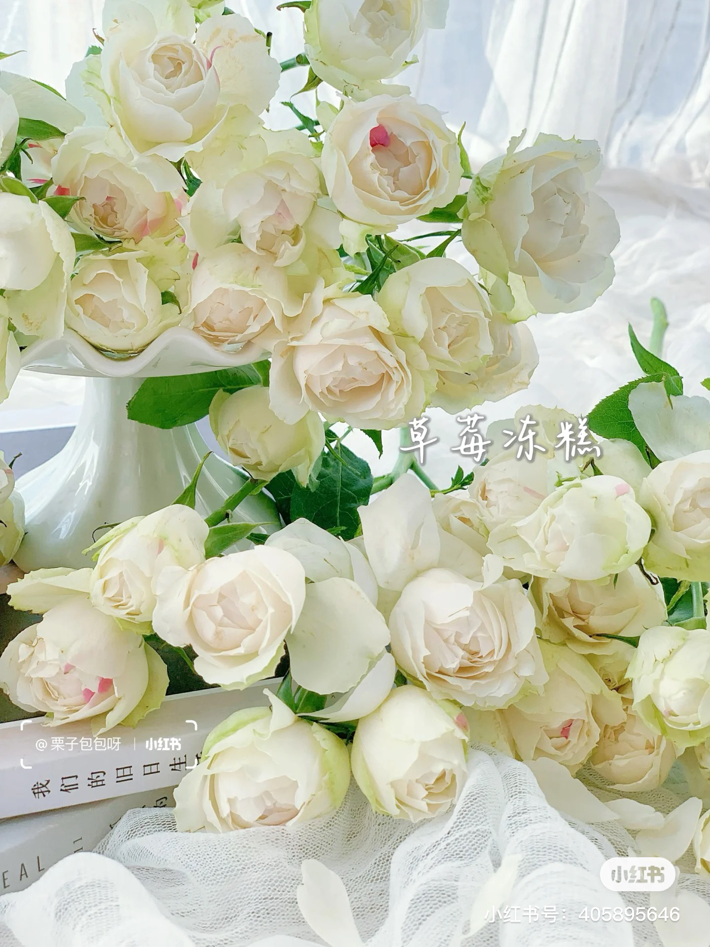 【德芮尔玫瑰】白桃草莓冻糕 任三单及以上包顺空鲜切花10支装家居