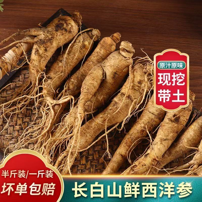 鲜西洋参林下带土花旗参鲜参整支正品长白山人参新鲜老参