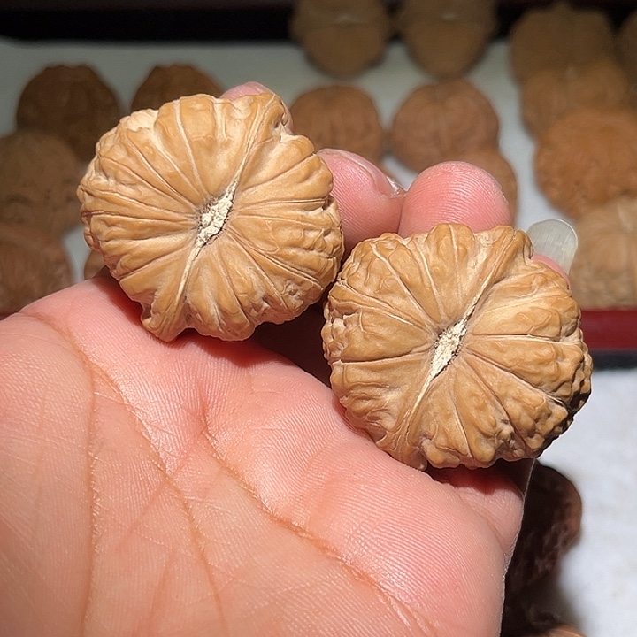 0***5木44南瓜敦。          