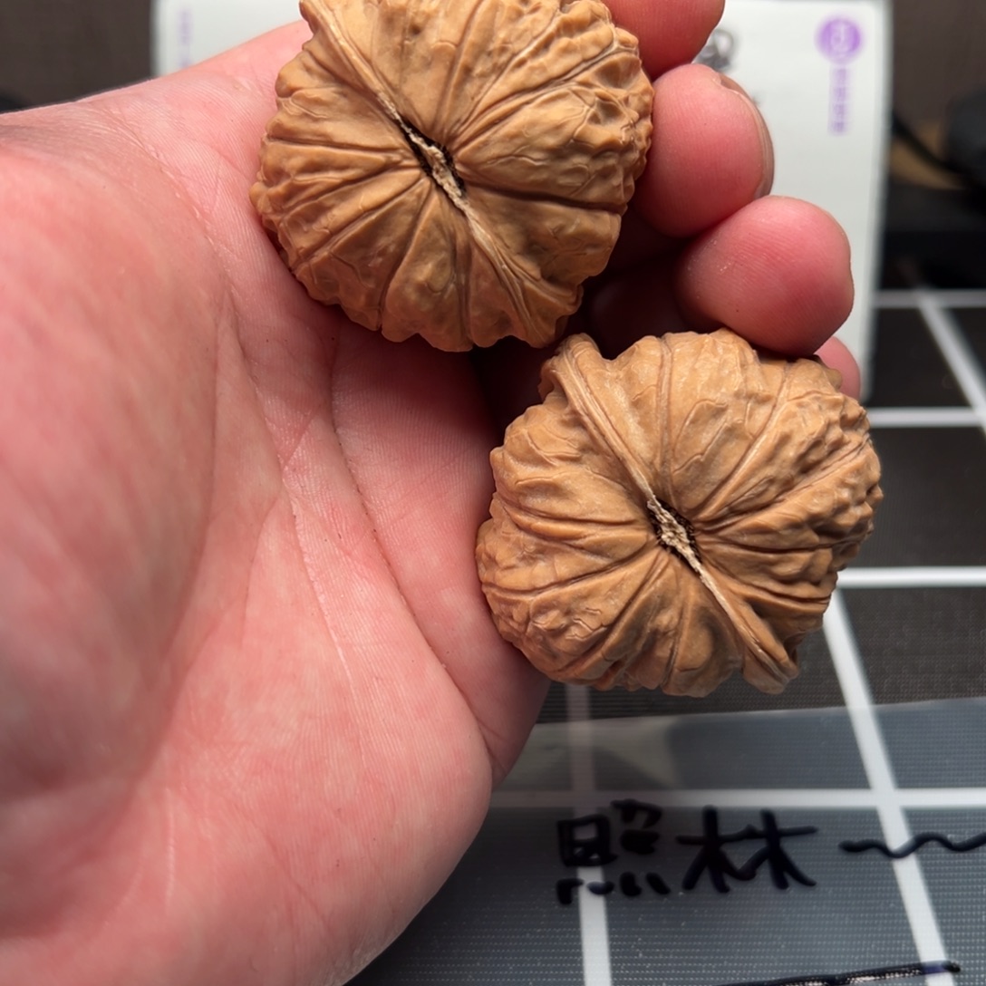 大叶紫檀（黑酸枝木类）888888