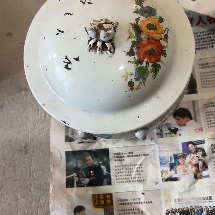 伟***哥杂色豆（科檀/科特迪瓦檀木）