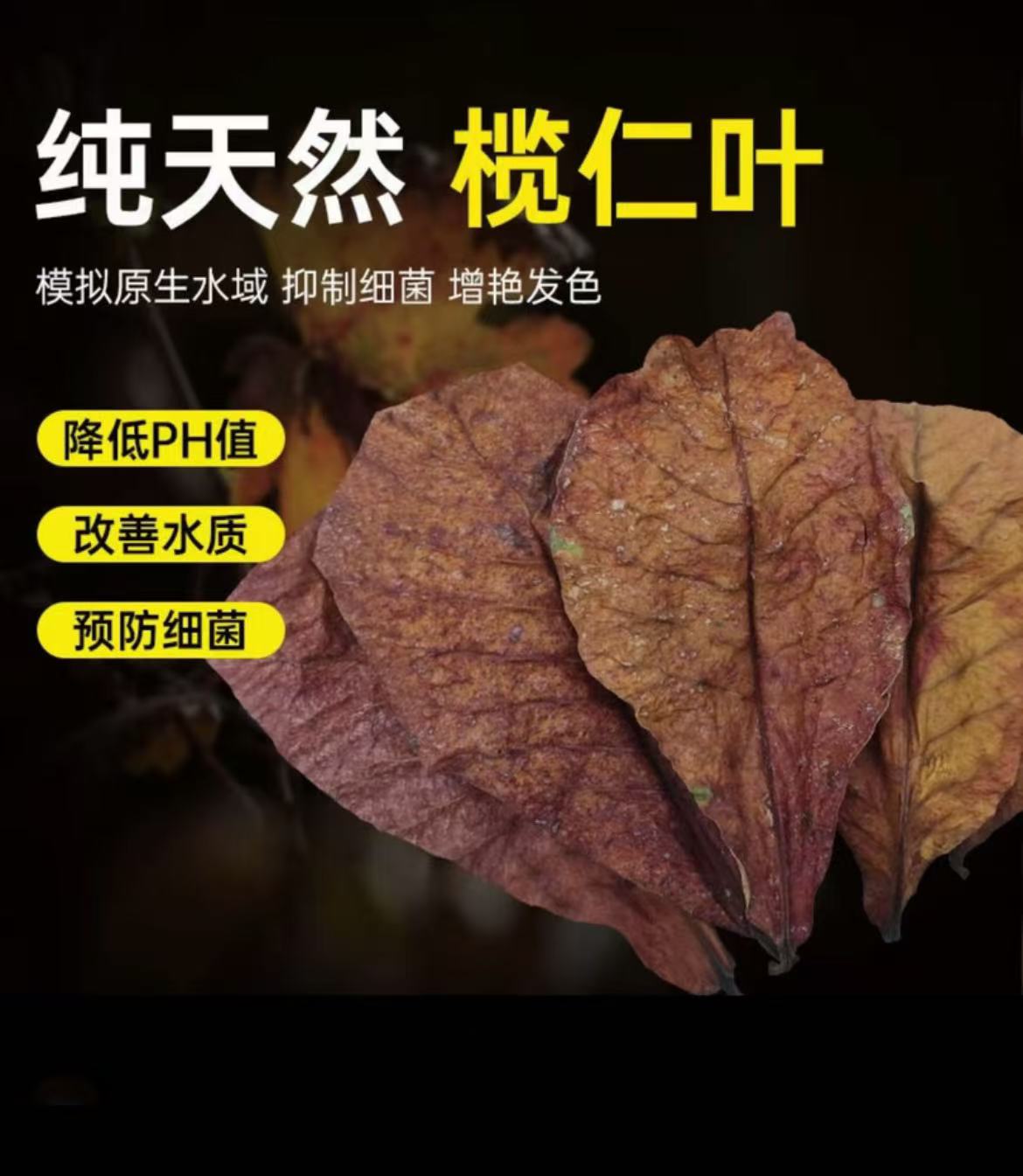 泰国斗鱼榄仁叶改善水质HP浓缩液值