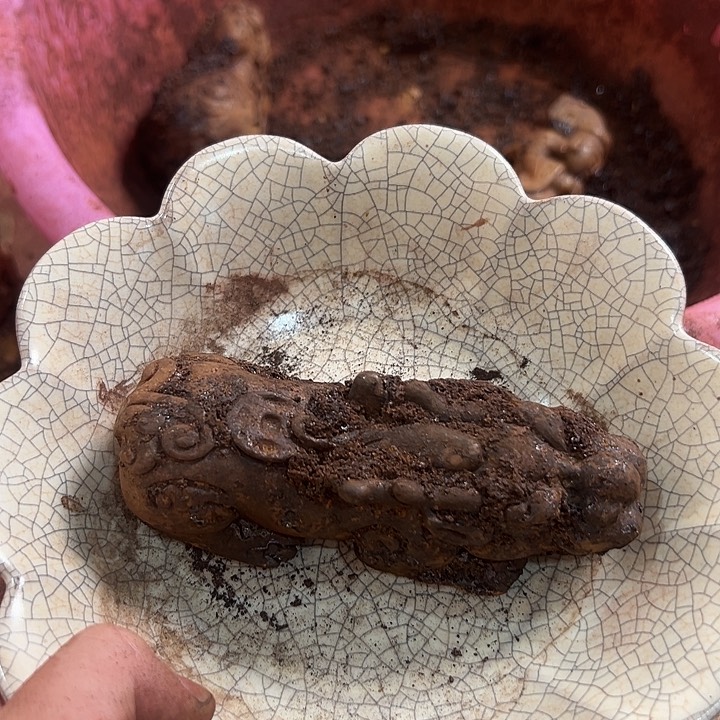 瓷器瓷器瓷器瓷器张*国