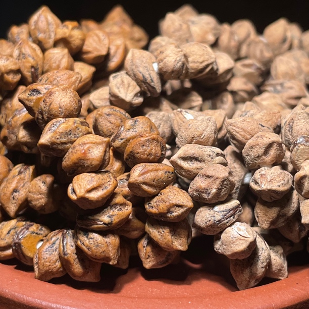 【楼兰】热振寺百香红芽红皮大肠长串108龙爪百香籽百香籽108颗