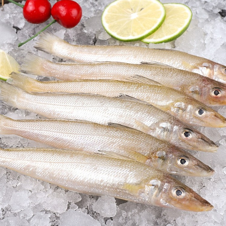 2野生海捕沙丁鱼/沙尖鱼(每斤40条左右)鲜鱼速冻锁鲜发货 5斤