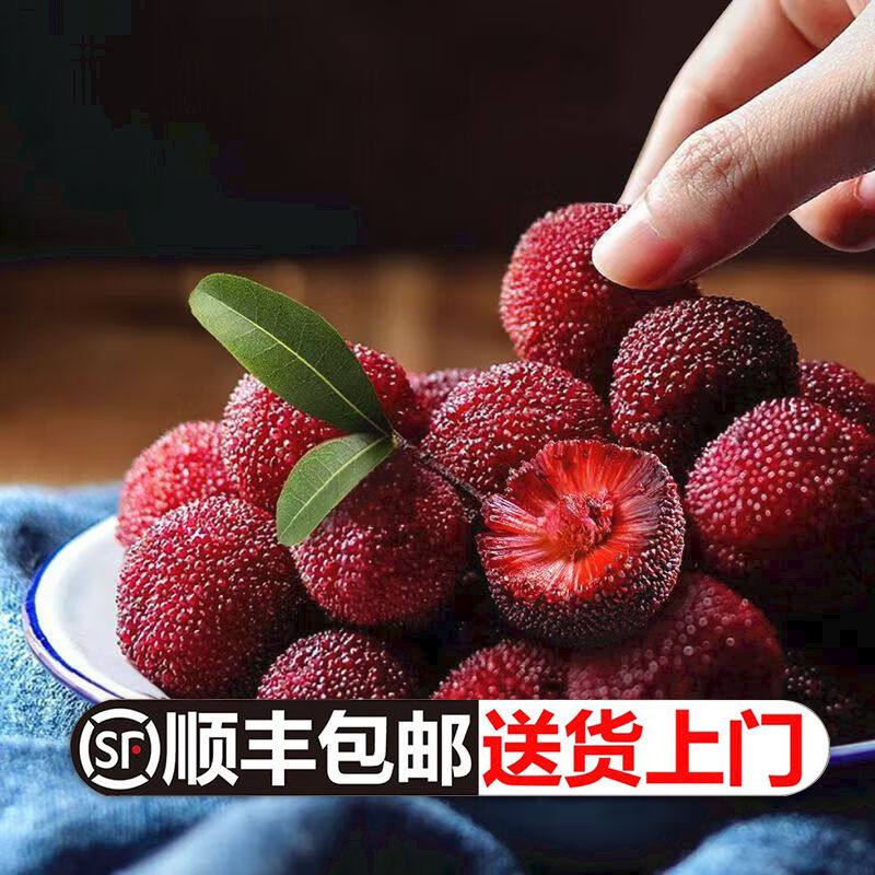 【泡酒杨梅】仙居泡酒用新鲜杨梅浙江省