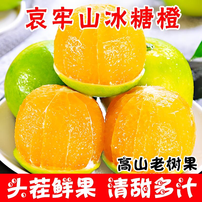 【现摘】云南哀牢山冰糖橙甜脐青皮橙子彩箱褚甜橙批发包邮