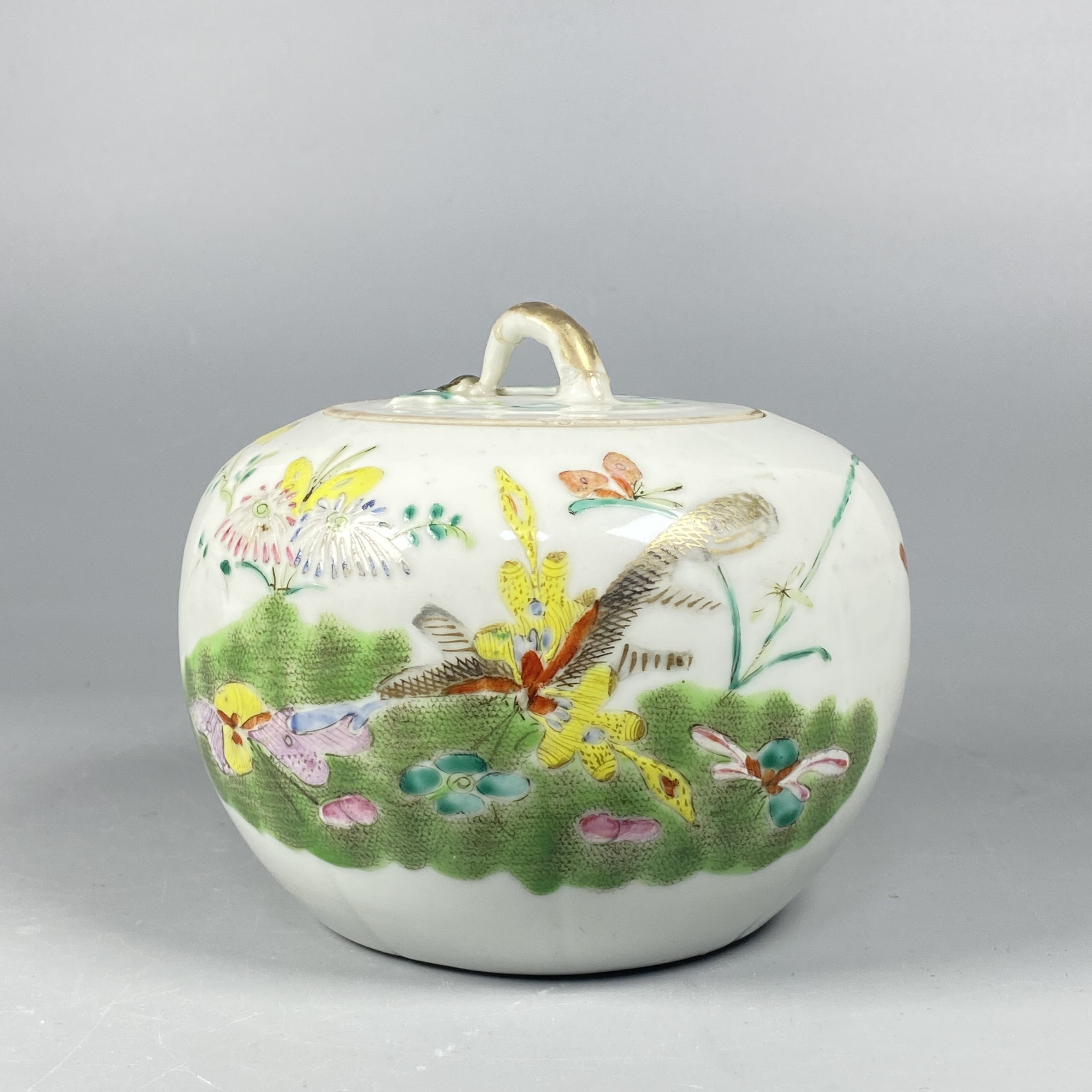 022051995 清晚期 粉彩罐/DB/云南省文物总店