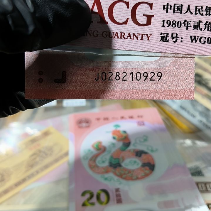 塑料蛇年纪念钞朦胧号单张<0929