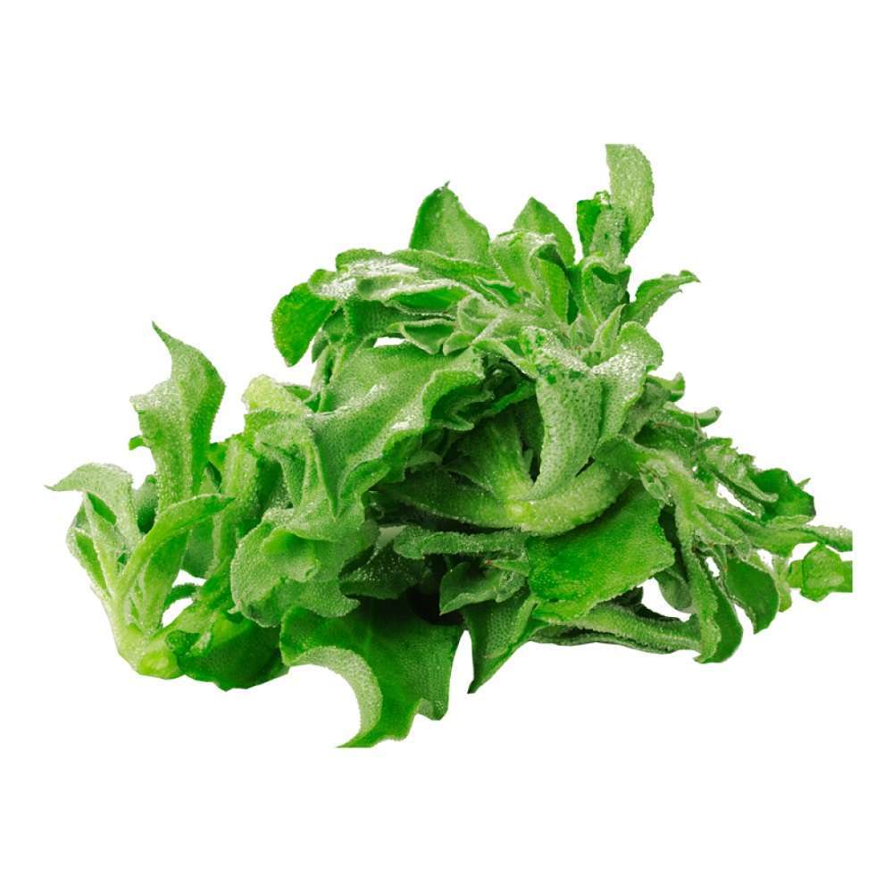 指鲜送 • 新鲜冰草 200g