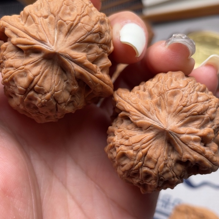 文玩核桃把件大团圆40