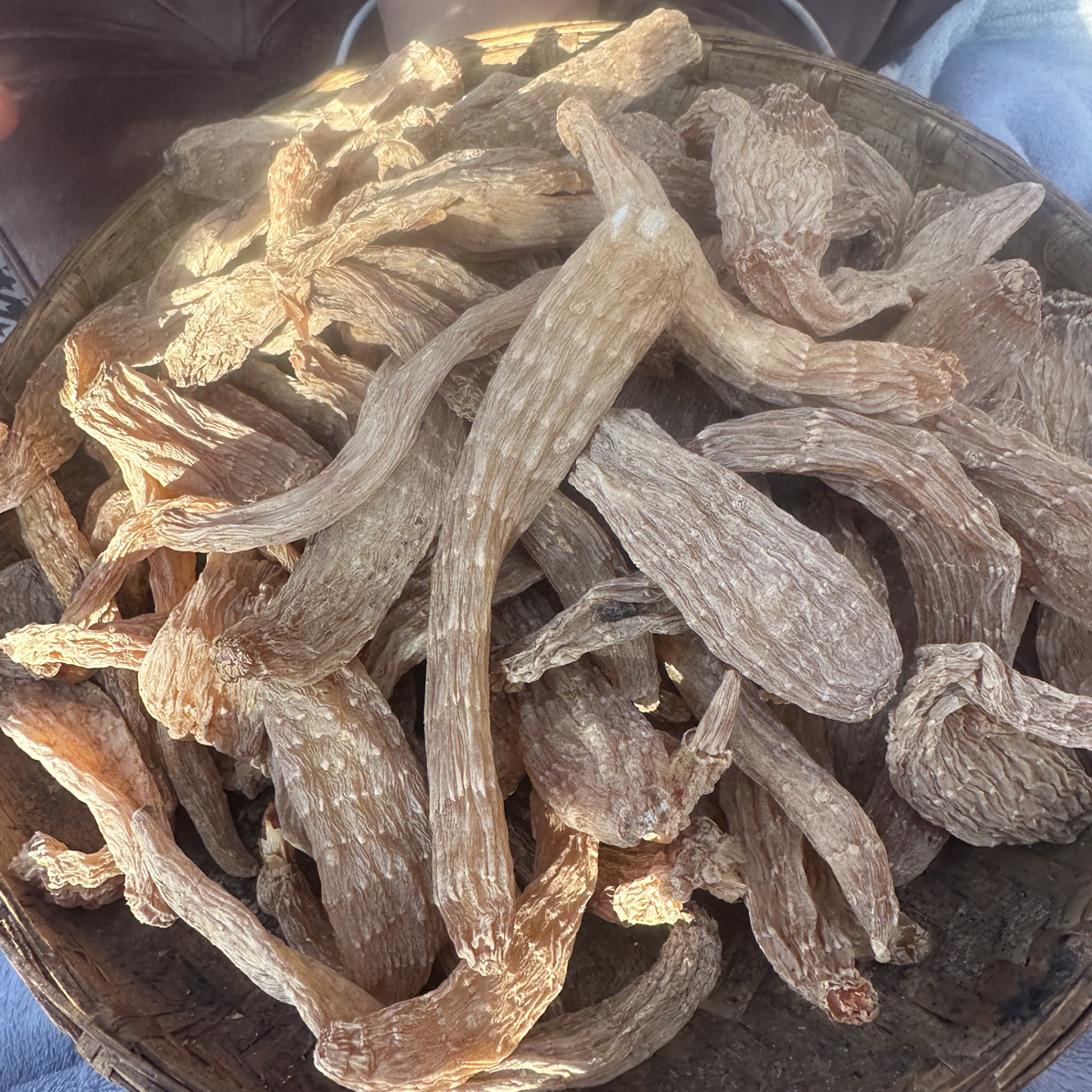 云南丽江（天—麻）山货特产干货