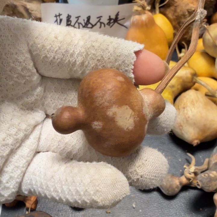 *****67666666）hhhhhhhhjjjj