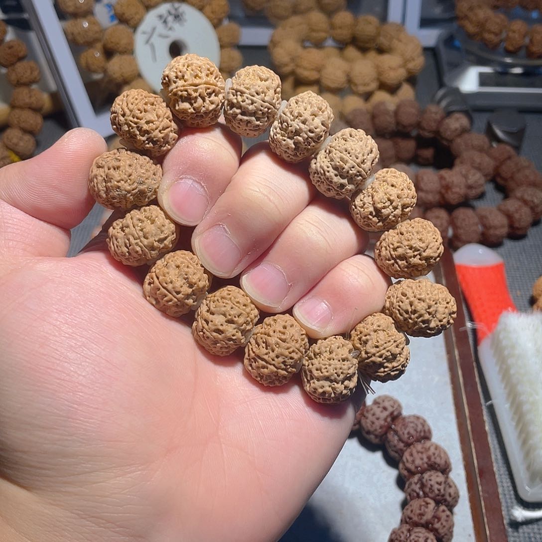 手串金刚菩提七瓣21/22mm蜂王