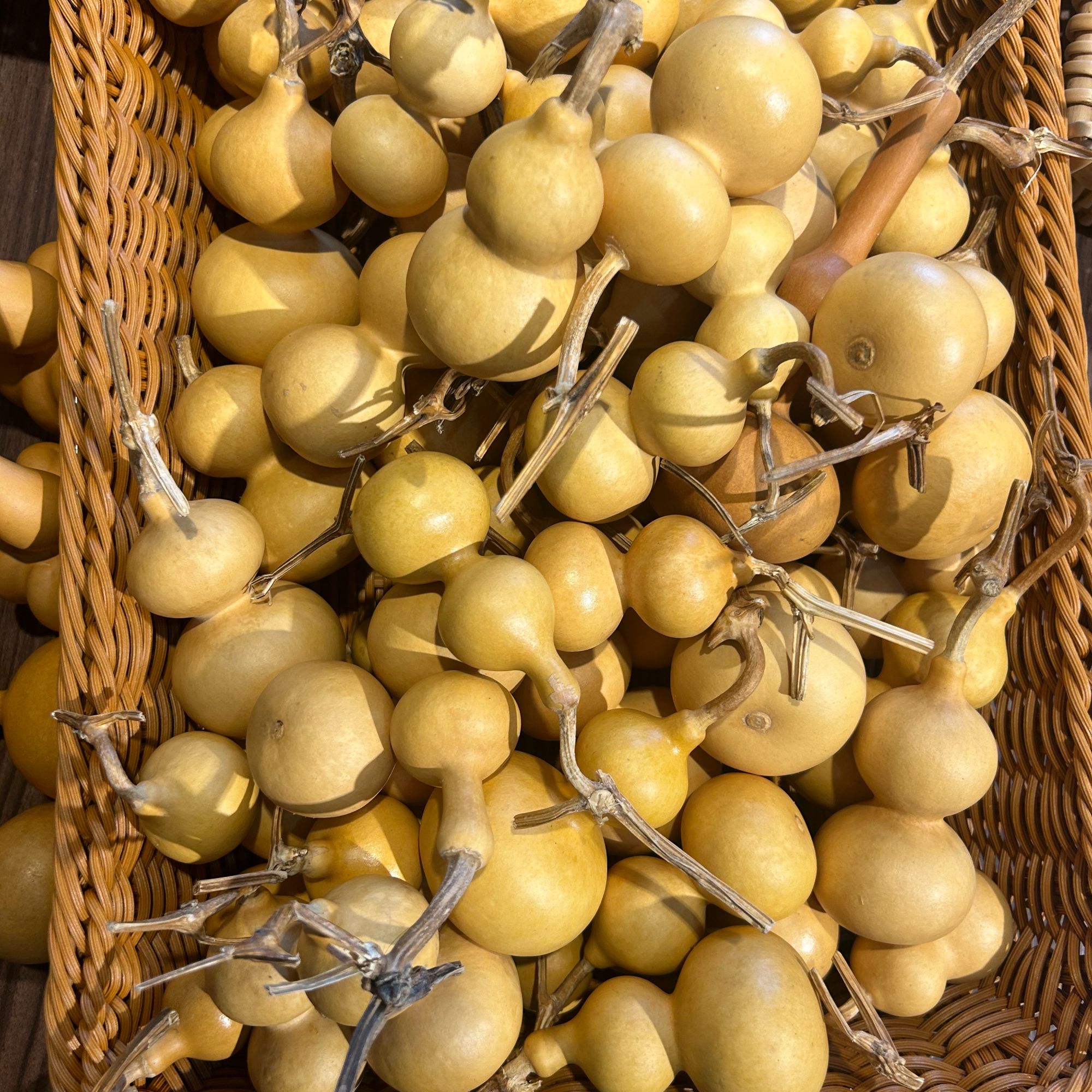 心悦葫芦文玩葫芦天然形成直播间拍品