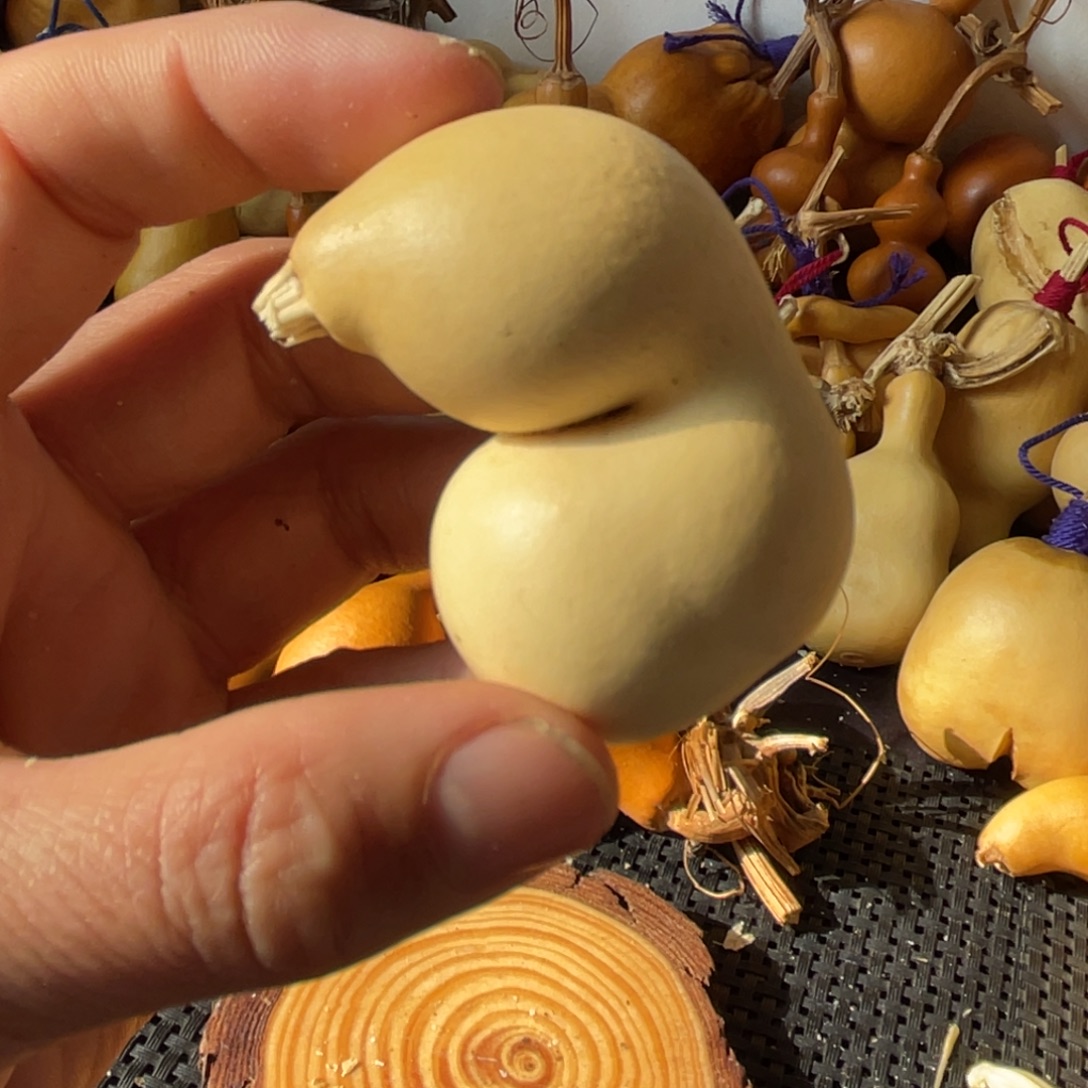 无***宝葫芦葫哈哈哈哈哈哈哈哈