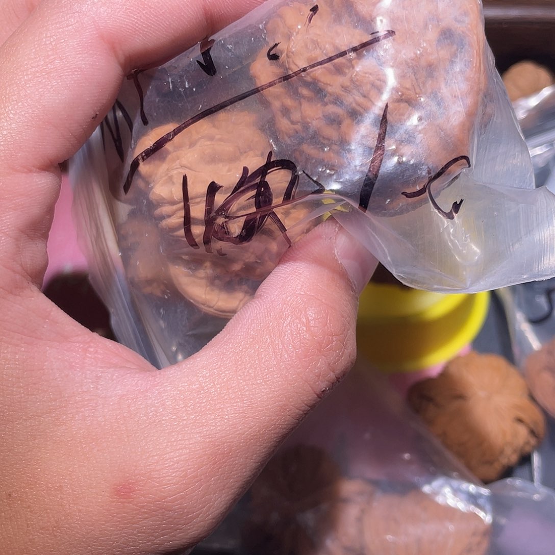 内***家吊坠文玩核桃福利