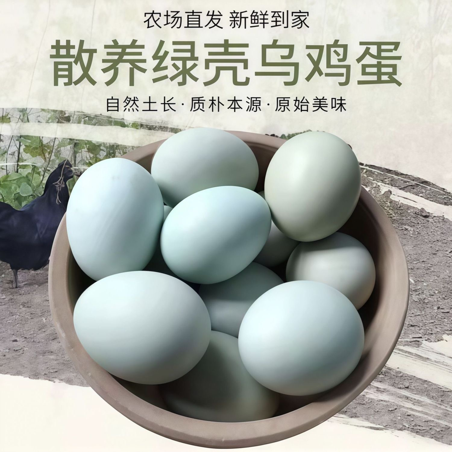 【顺丰包邮】真宗新鲜绿壳乌鸡蛋土鸡蛋初生蛋散养正宗农家散养