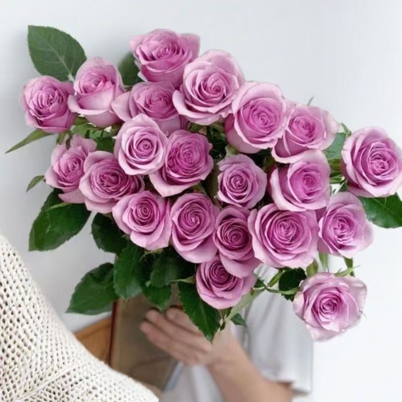 【10支 紫色玫瑰 稀有玫瑰】任意拍两单升级顺丰/京东  云南鲜花