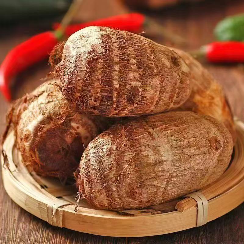 山东芋头牛奶芋头香芋新鲜应季香甜软糯毛芋头奶油芋头自家种植