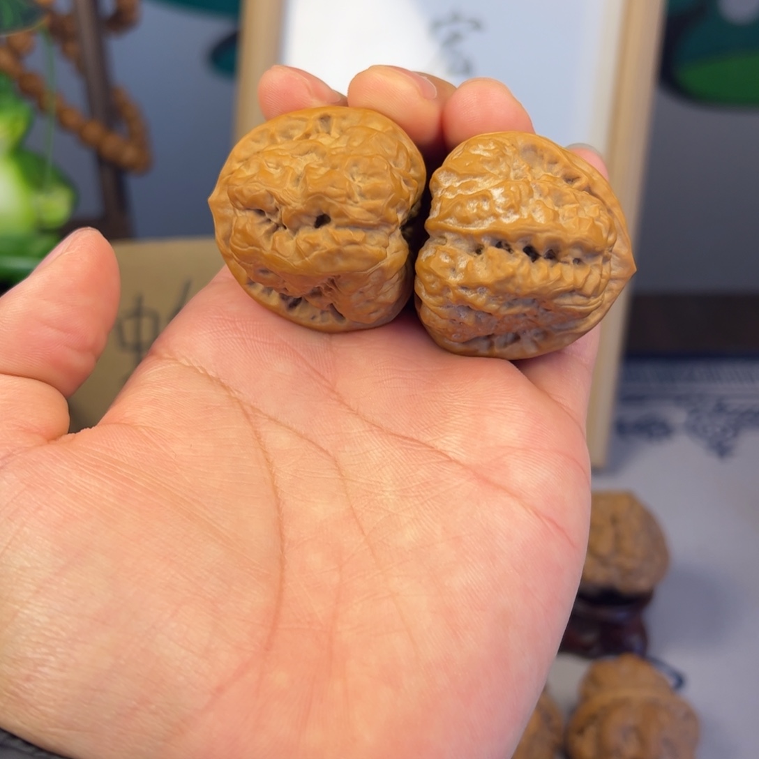 老***猫木蛤蟆头40✖️42蛤蟆