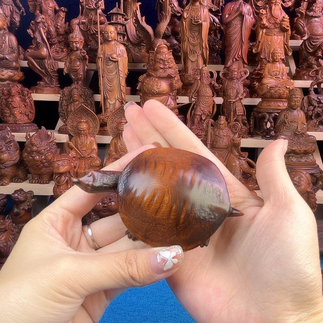 黄杨木小叶黄杨木