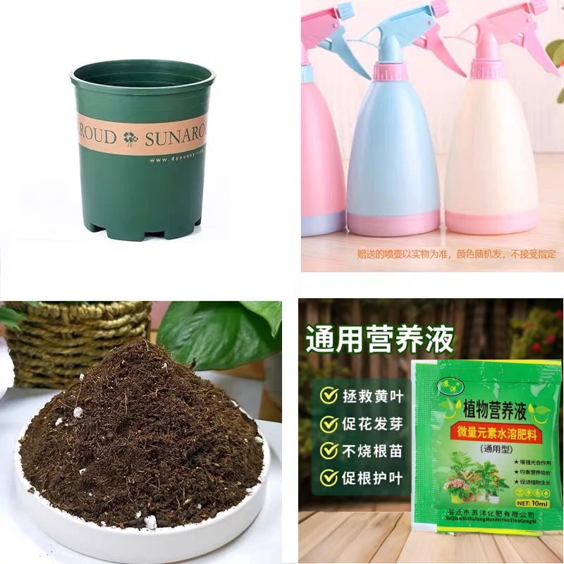园艺用品营养土加仑盆营养液小喷壶浇水神器花卉绿植通用小工具