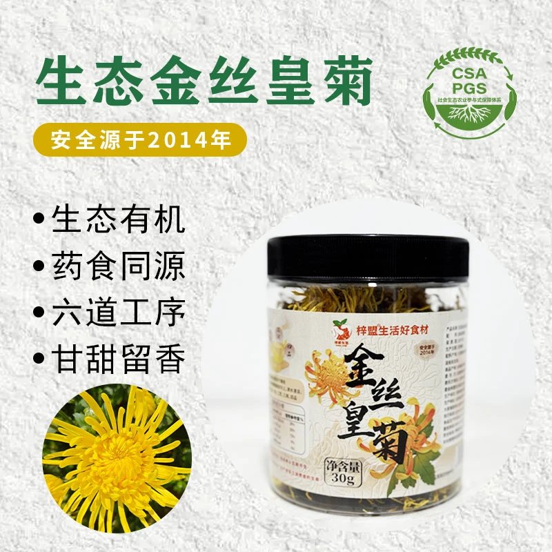 金丝皇菊 | 基地直发
