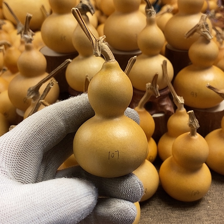 文玩葫芦 完美主义者 慎拍107