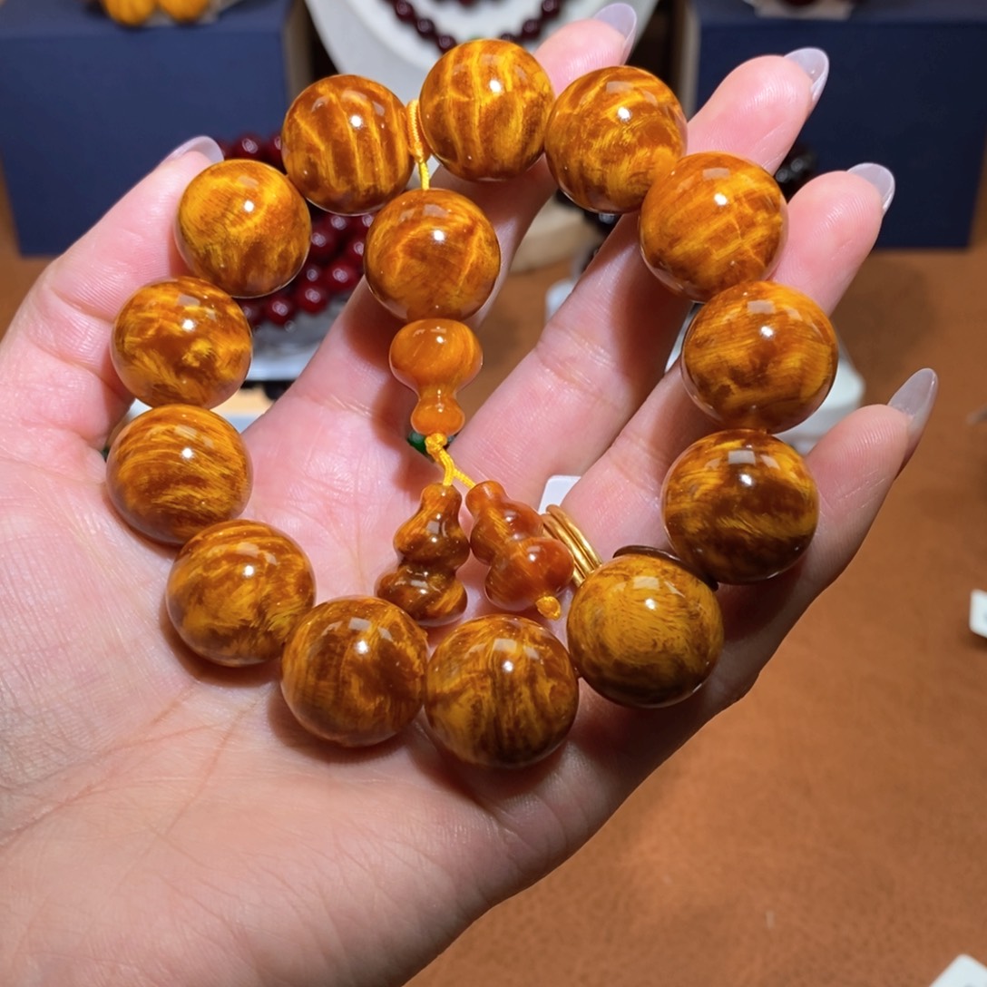 贝壳杉山****0血龙木1.8爆满龙胆纹高货