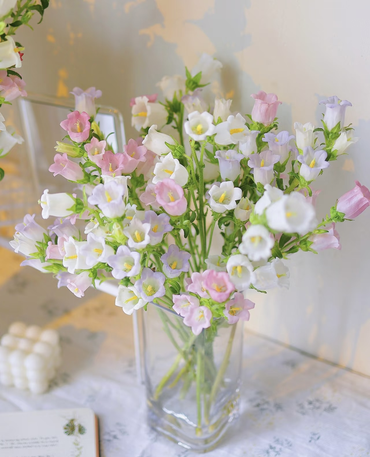 【风铃花切花】粉色源头货源直发云南鲜花