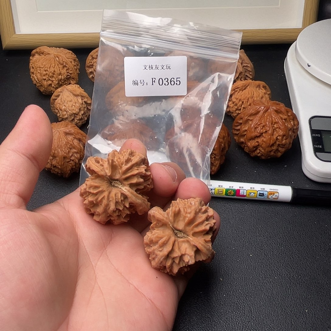 F365曹大龙40尺尖部有黄