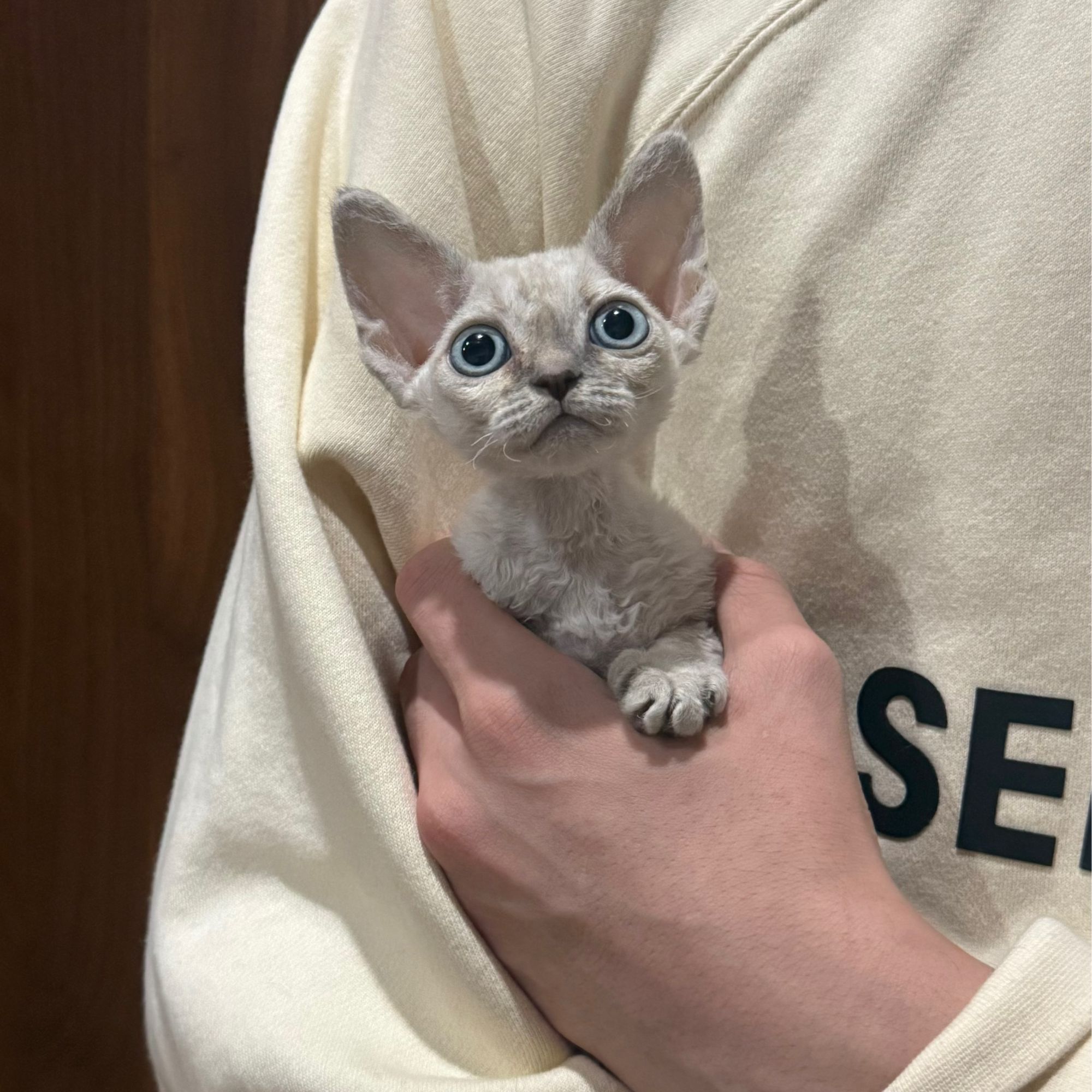 0520山猫色妹妹fee