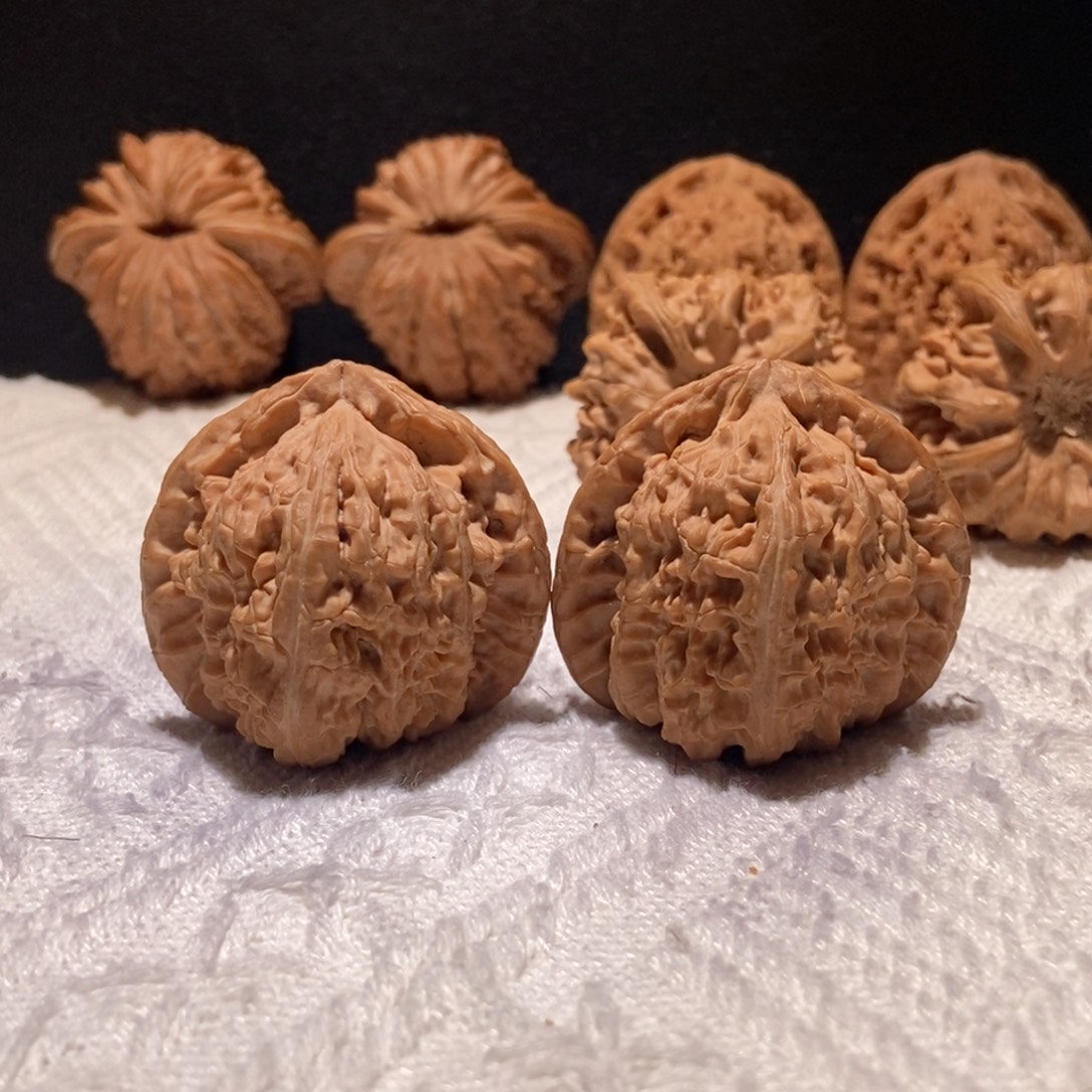 浩***吖极品三角白，42尺 