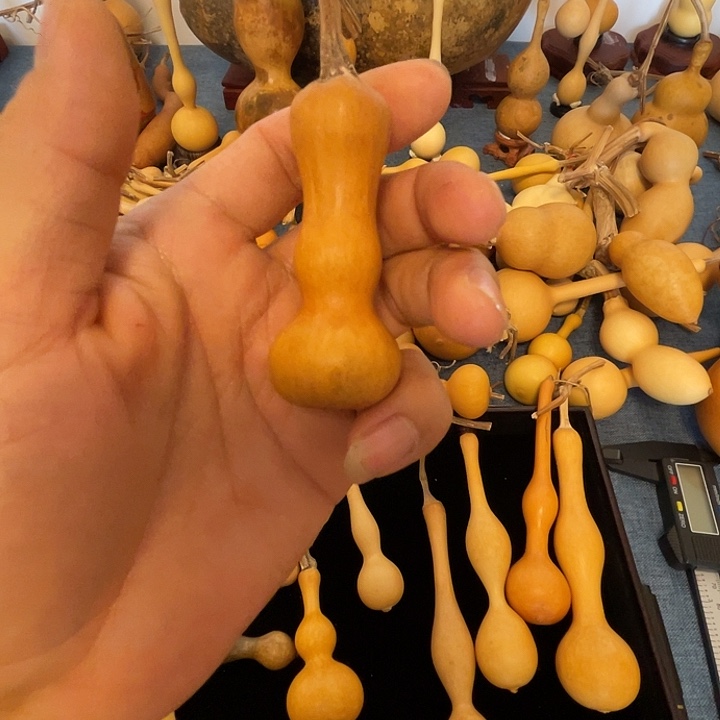 Y***y文玩葫芦文玩葫芦